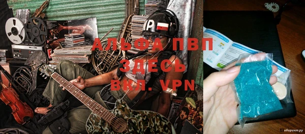 гидропоника Белокуриха
