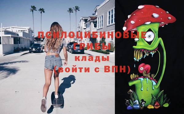 гидропоника Белокуриха