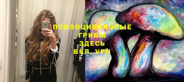 гидропоника Белокуриха