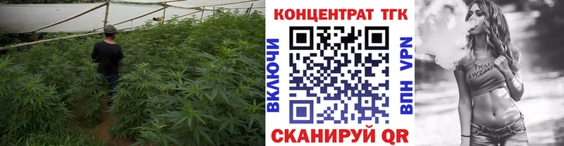 ТГК THC oil Дигора