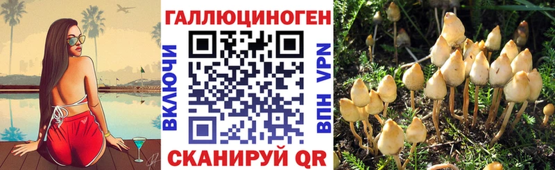 Галлюциногенные грибы Cubensis  Дигора 